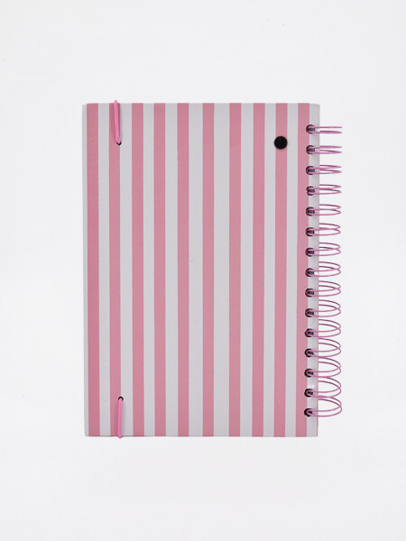 AGENDA GOOD DAY 2027 ROSA CHICLE