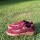 ZAPATILLA SAMBIA Bordo