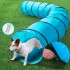 Tunel Gigante Perro Gato Mascota Redondo Tubo Interactivo Variante Color Celeste