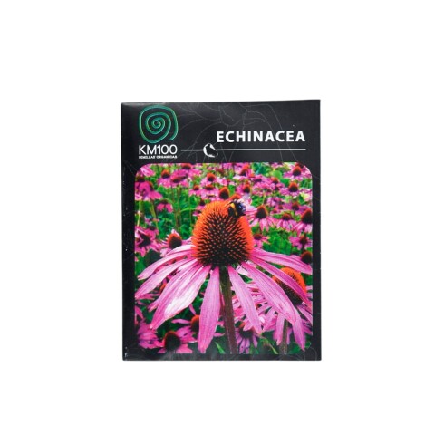 Semillas de echinacea Semillas De Echinacea
