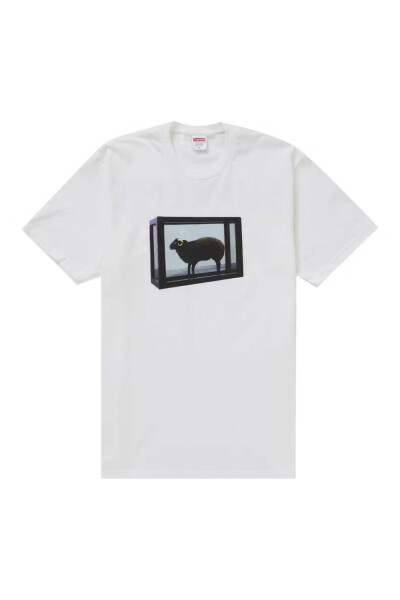 DAMIEN HIRST TEE Blanco