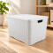 Caja ratán 40 lts BLANCO