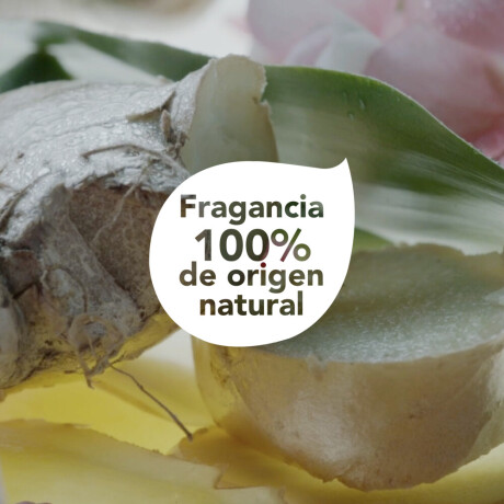 Dove Ac Purificacion+Jengibre Dove Ac Purificacion+Jengibre