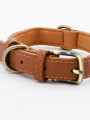 COLLAR AJUSTABLE TOBY MARRON (V)