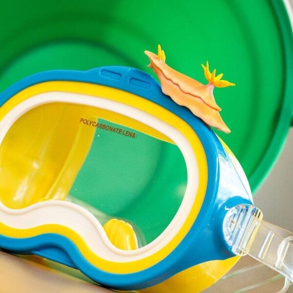 Molusco Marino Nudibranquio Safari Muñeco Coleccionable Molusco Marino Nudibranquio Safari Muñeco Coleccionable