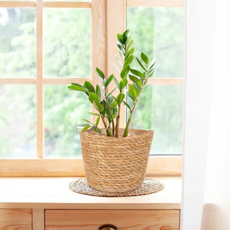 Portamaceta De Ratán Chico Portamaceta De Ratán Chico