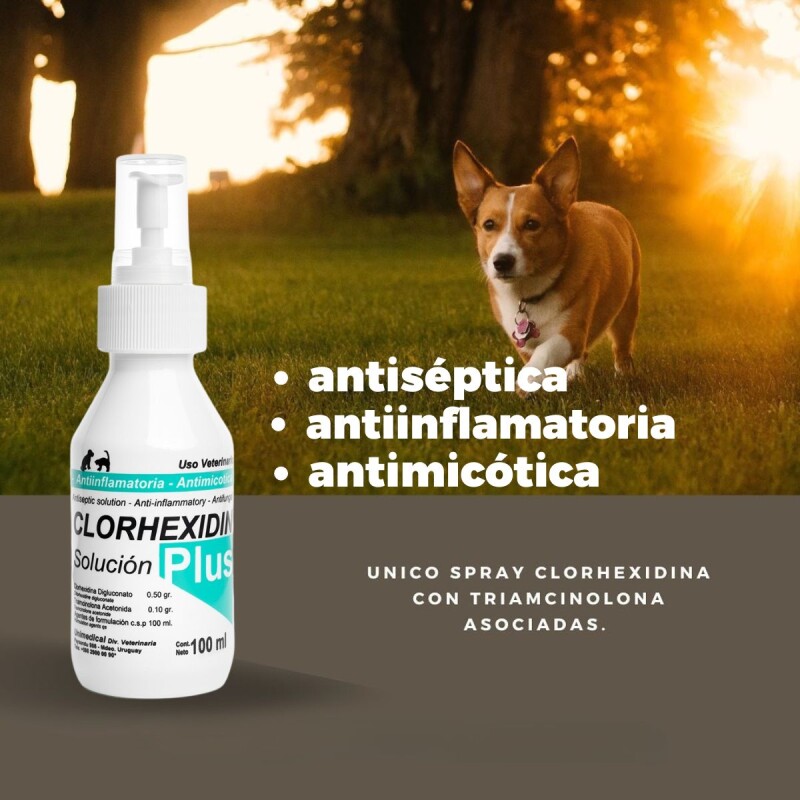 CLORHEXIDIN PLUS SOLUCIÓN 100 ML CLORHEXIDIN PLUS SOLUCIÓN 100 ML