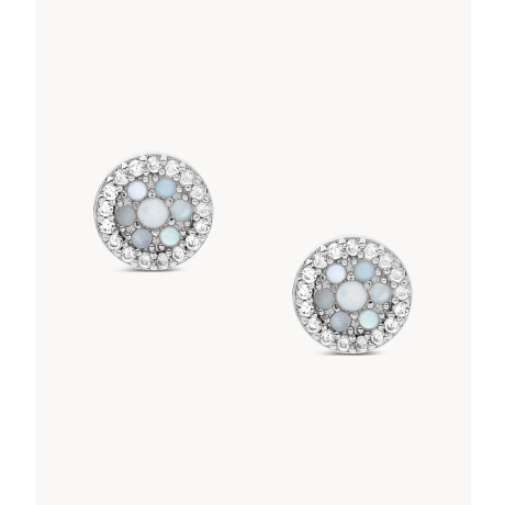 Caravanas Fossil Acero Plata 0