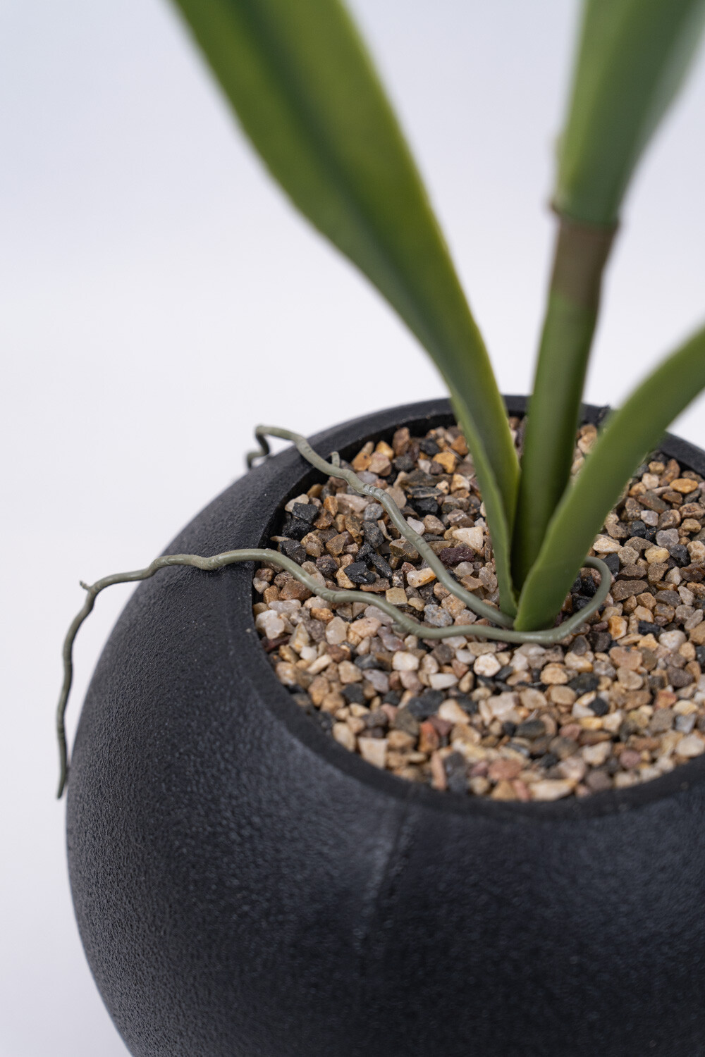 Planta Orquídea Color Unico