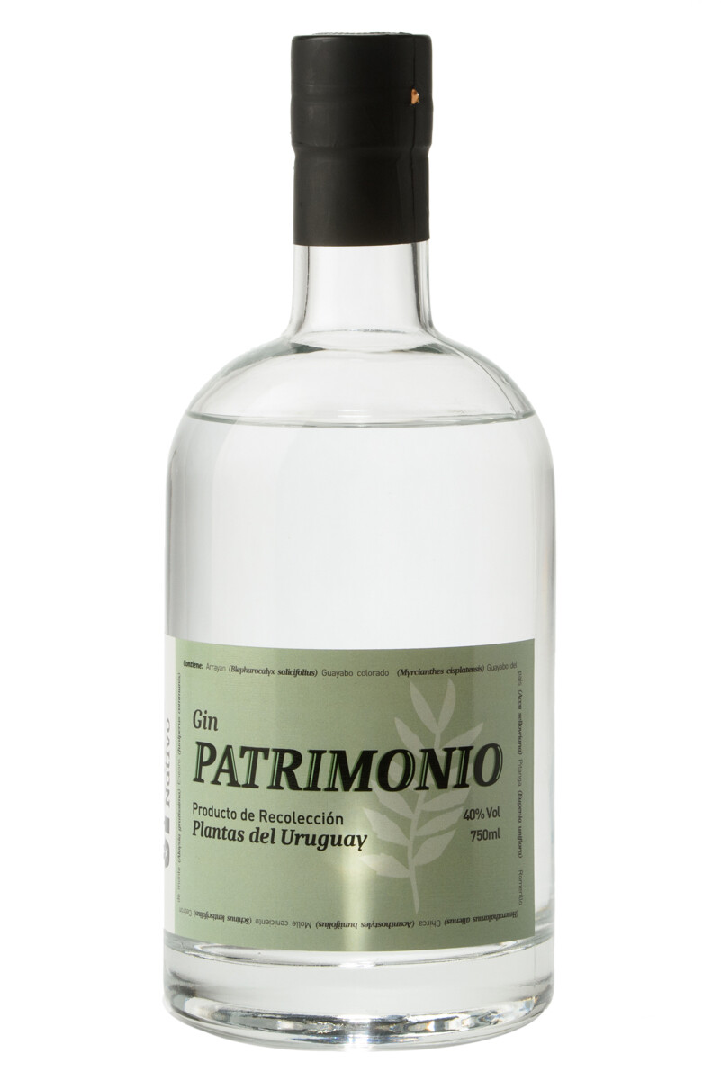 GIN PATRIMONIO 