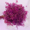 Ramo Frondoso De Flores Secas Fucsia Oscuro