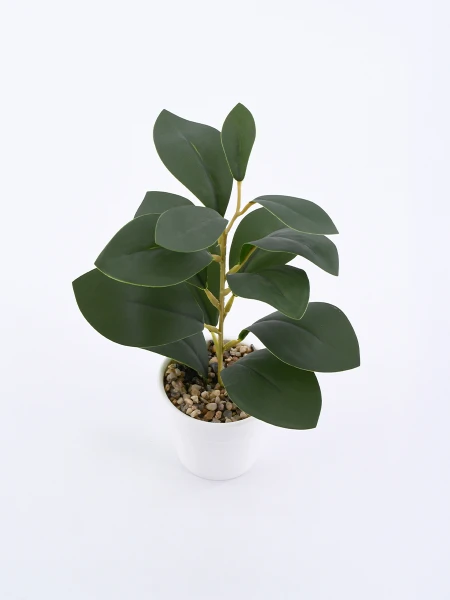 MONSTERA PLANTA CON MACETA VERDE