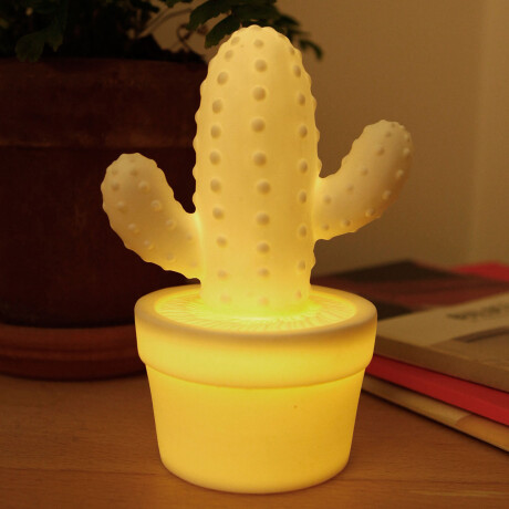 Lámpara Led Cactus Con Maceta Unica