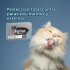 FELINE FULL SPOT MAS DE 5 KG