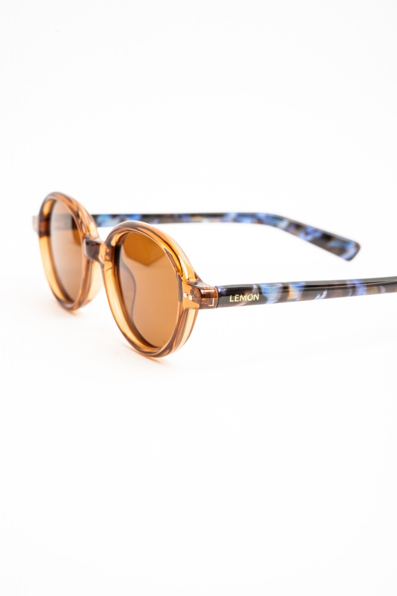 Lentes De Sol Polarizados Marron