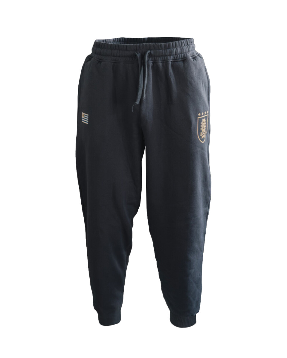 Pantalón Hombre - AUF 