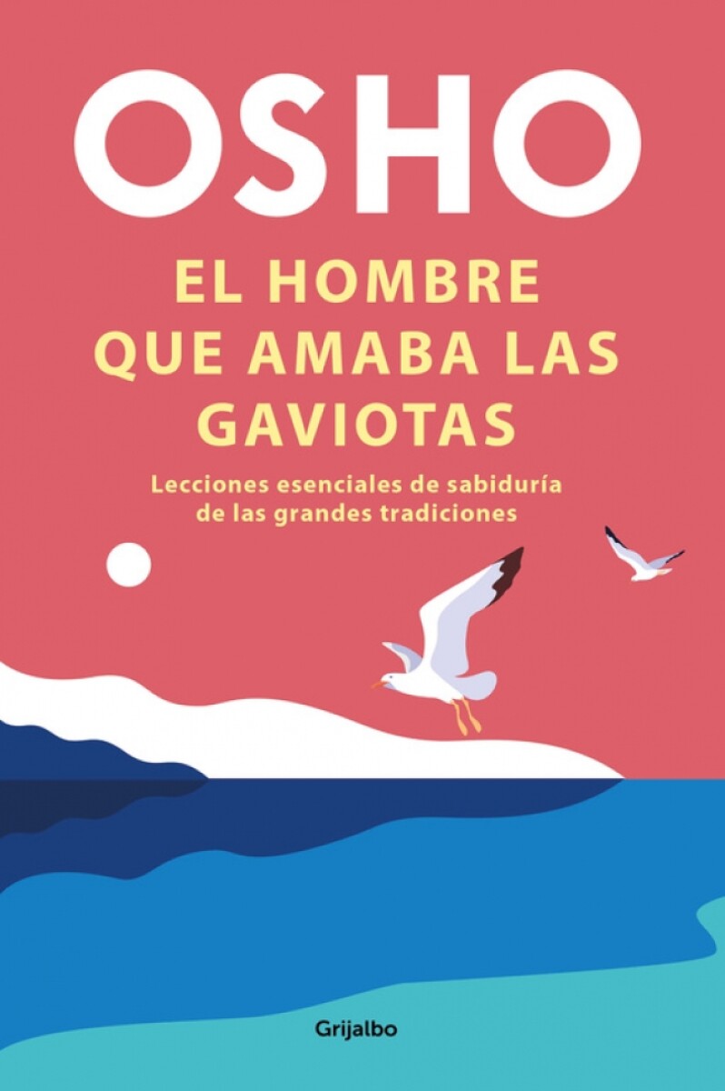 El hombre que amaba las gaviotas 