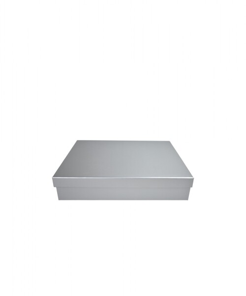 Caja Rigida 19,5 x 29,5 x 5 PLATA