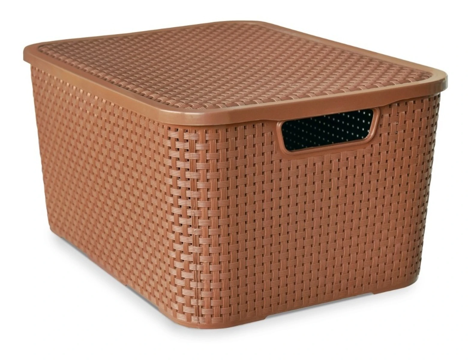 Caja Cesto Canasto Organizador Rattan 40lts Tapa - Grande-m 