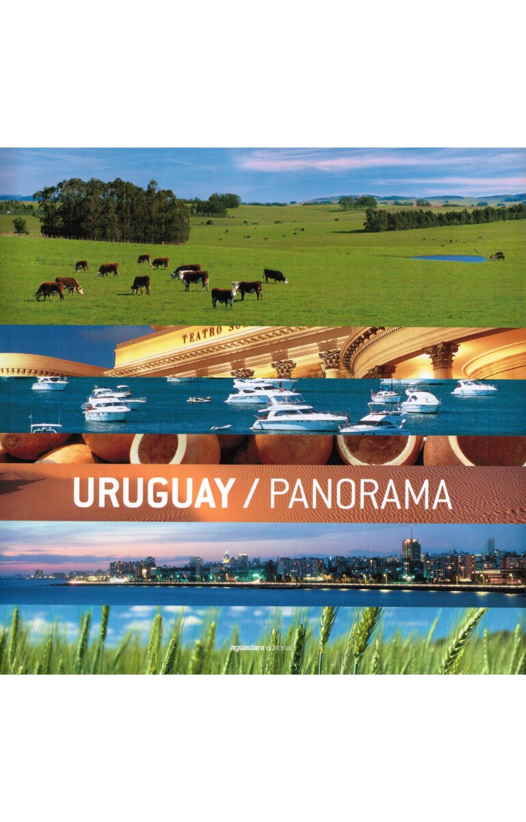Uruguay Panorama 