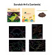 4 En 1 Craft Kit Dinosaurio 4 En 1 Craft Kit Dinosaurio