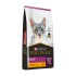 PRO PLAN GATOS ADULTOS URINARY 3 KG
