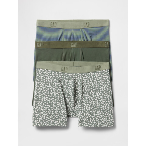 V-3PK BOXER BRIEFS THYME 19-0309 TCX