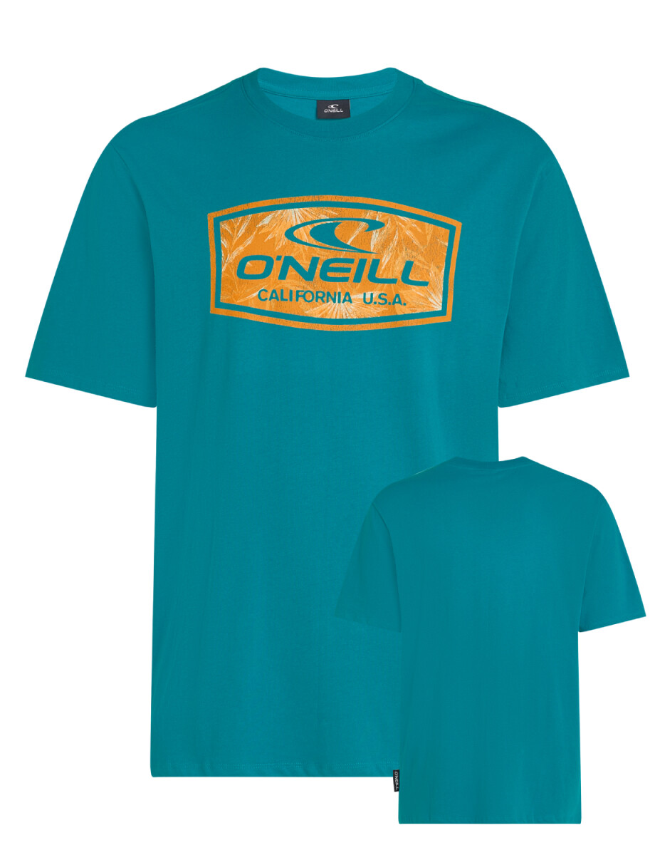 Remera O'Neill California Bloom - - Celeste 