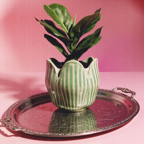 Maceta de cerámica Tulipán - Blanco verde