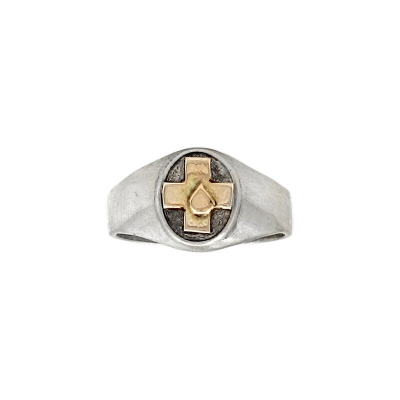 Anillo Profesión Auxiliar de Servicio-Plata y Oro-Sin Piedra-AP5023 sinpiedra