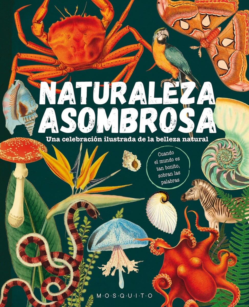 NATURALEZA ASOMBROSA 