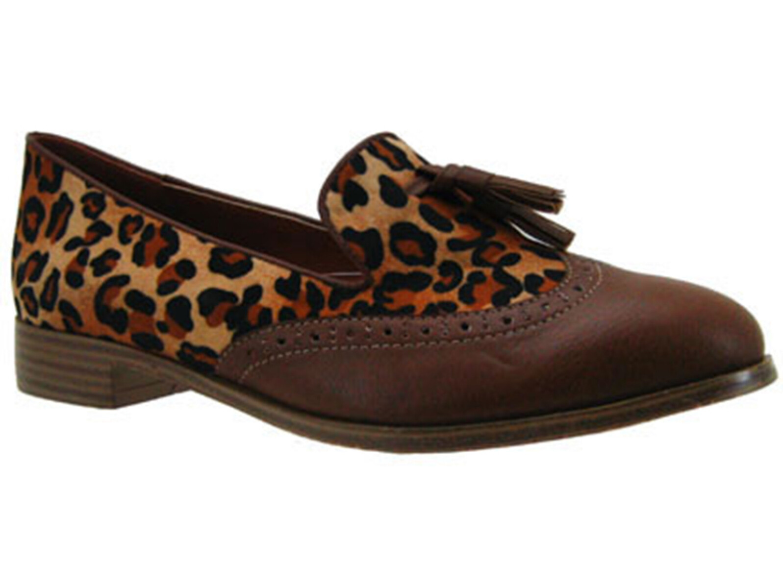 Zapato Casual Miss Carol - Brown/Leopardo 