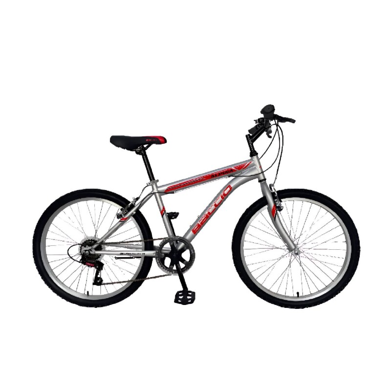 Bicicleta Baccio Alpina Man Montaña rodado 24 con 21 cambios Gris