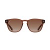 Indie Palm Sepia-marron Degrade