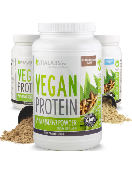 Suplemento Vitalabs Vegan Protein 1Lb 450Gr Vainilla