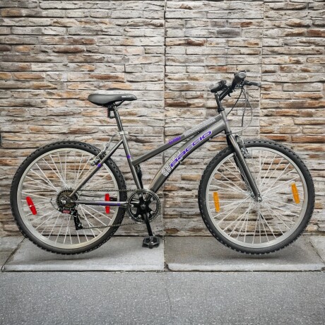 Bicicleta Baccio Alpina Lady Montaña rodado 26 con 6 cambios GRIS/VIOLETA