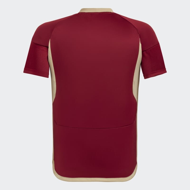 Camiseta Adidas Local Venezuela 24 de Niño Bordo