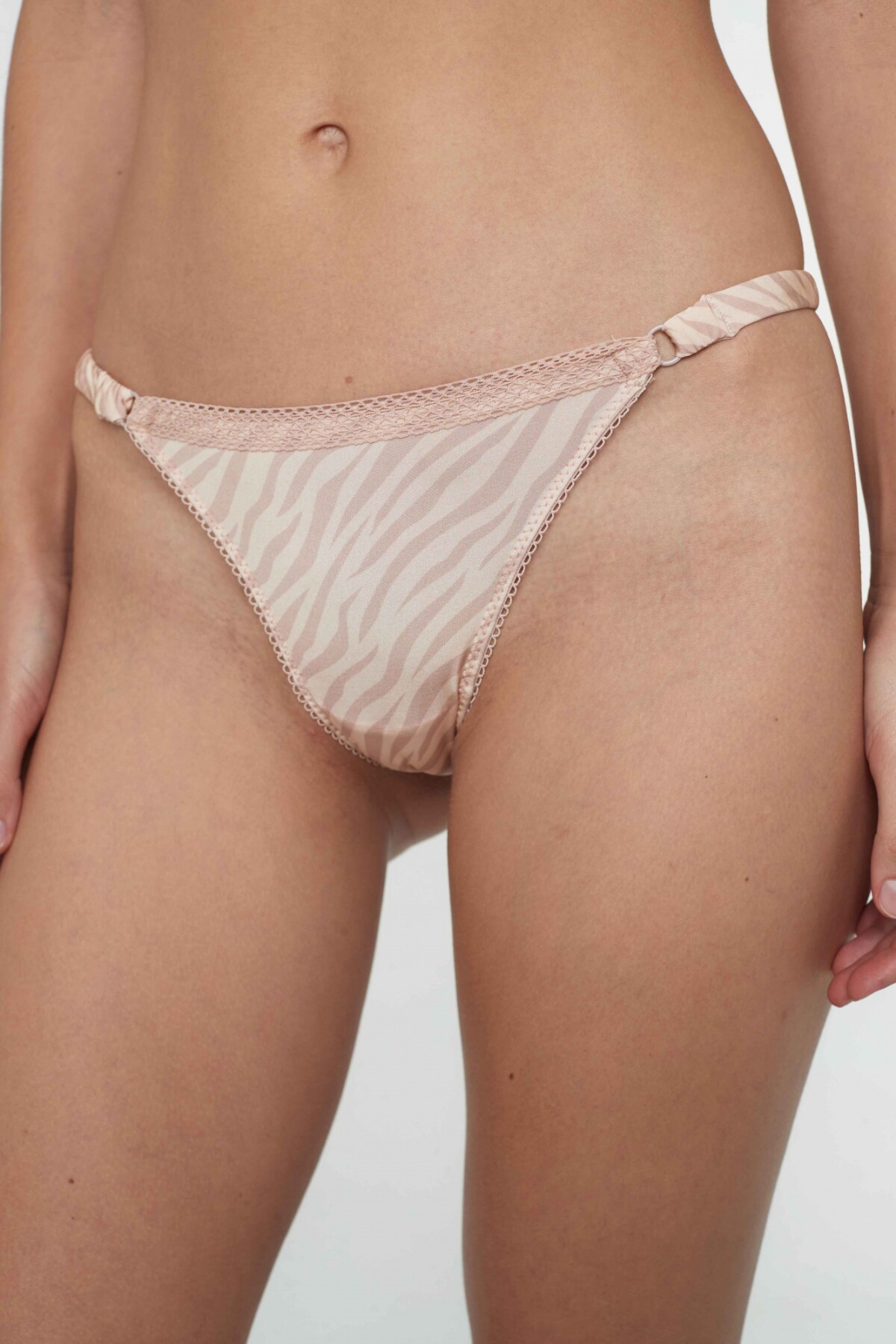 Colaless Matilde Cebra