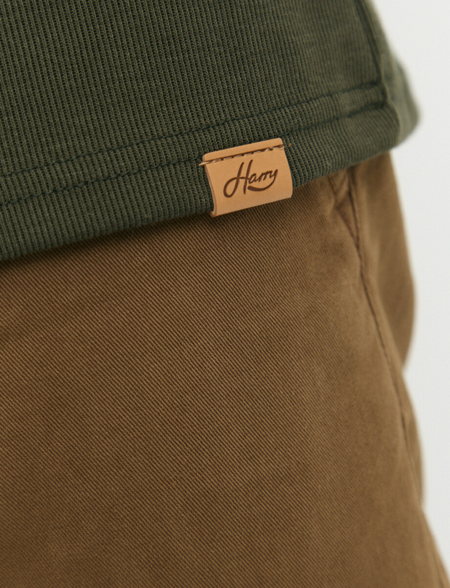 520913 REMERA HARRY Verde