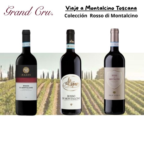 Viaje a Montalcino Toscana Viaje a Montalcino Toscana