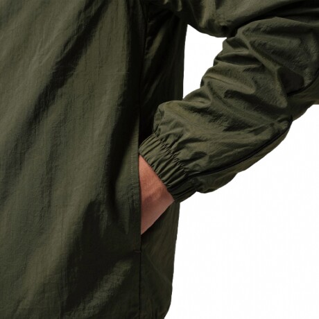 Campera Nike Jordan Sport Classic Green