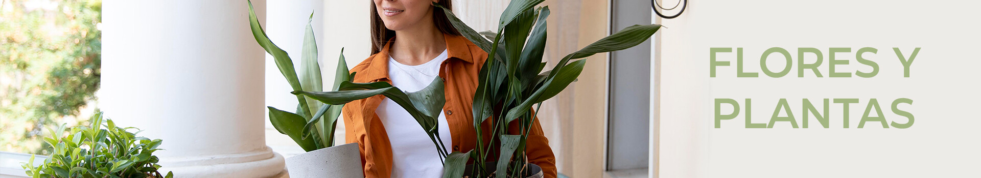 Flores Y Plantas