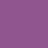Panty Brazilian VIOLETA CLARO