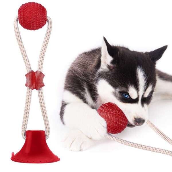Juguete Perro Limpia Dientes Ventosa Con Cuerda Pelota Color Variante Bordo