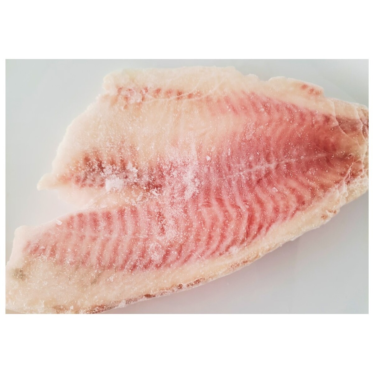 Filet de Tilapia sin Espina Artico 1KG 