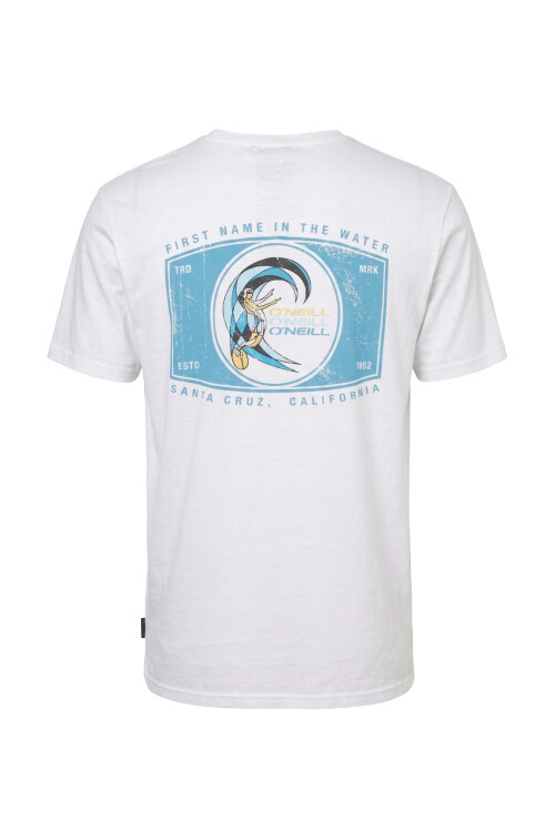 Remera O'Neill Postcard Remera O'Neill Postcard
