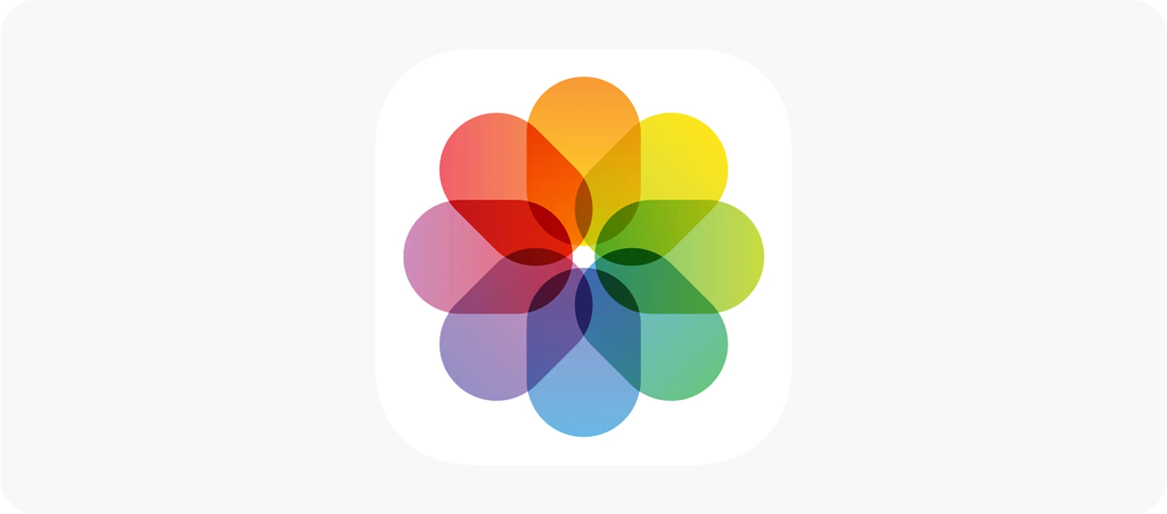 Cómo hacer que tus fotos se vean profesionales usando la app de Fotos en iPhone