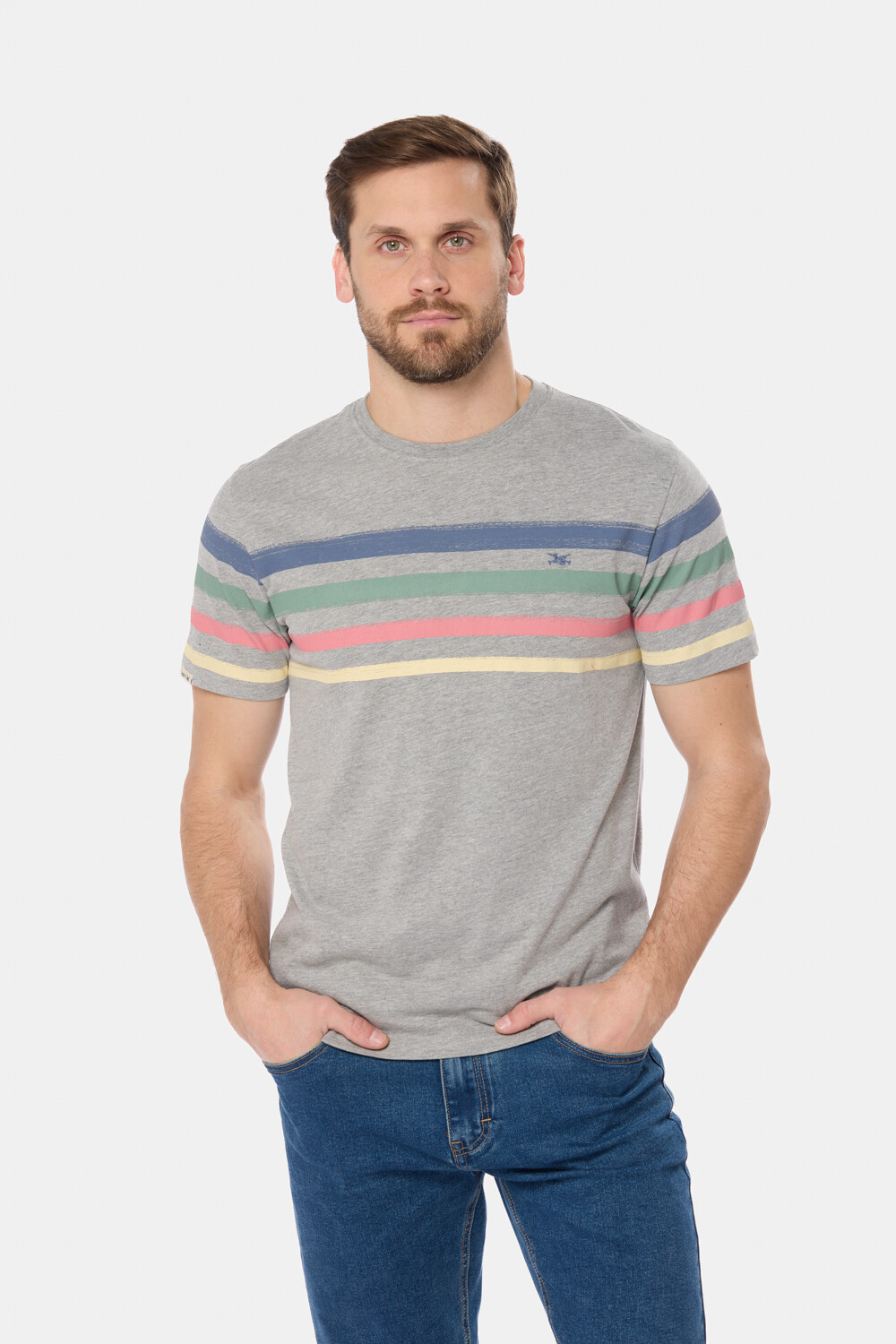 REMERA RAYADA Gris