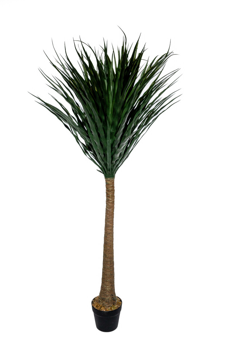 Planta Palmera De Yuca 140cm - Color Unico 