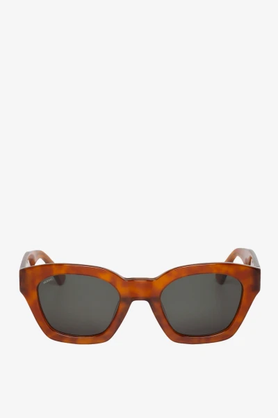Barrosa Cedar Caramelo